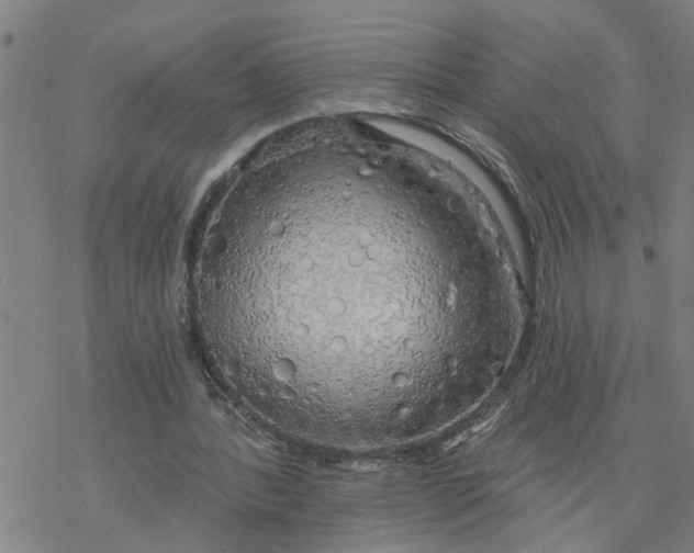 X0000076380388200610271533