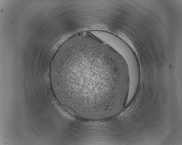 X0000076380389200610271533