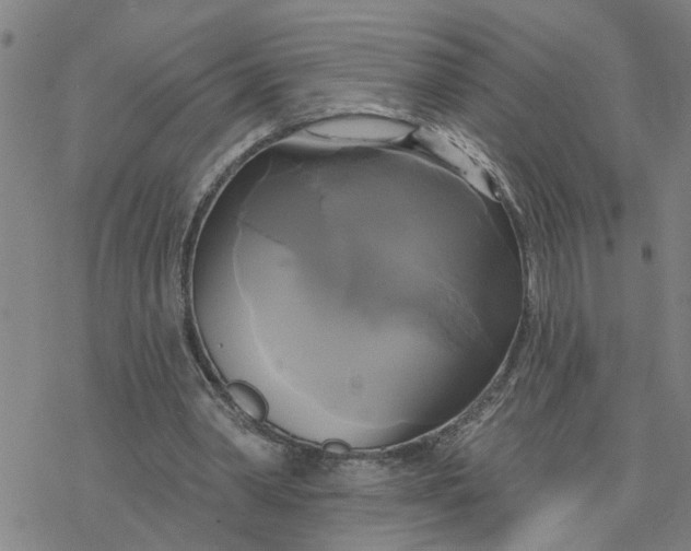 X0000076380390200610271533