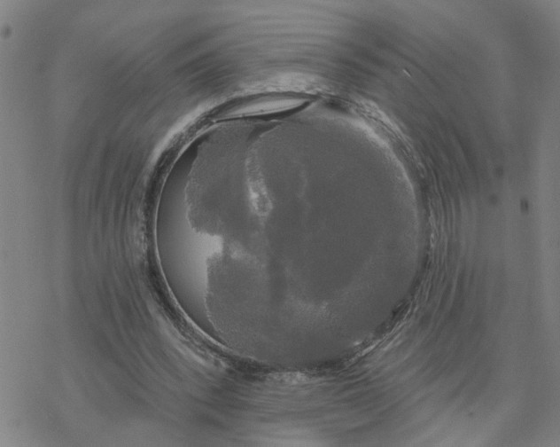 X0000076380392200610271533