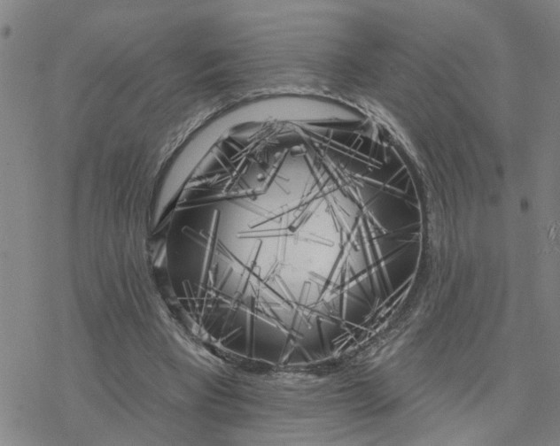 X0000076380393200610271533