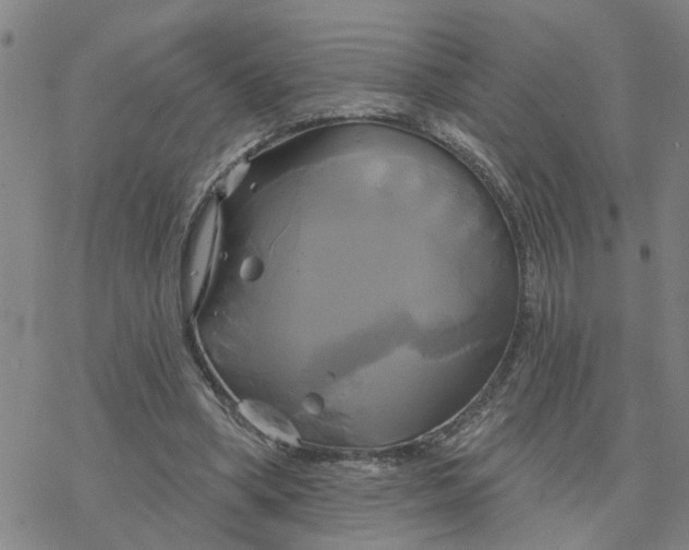 X0000076380394200610271533