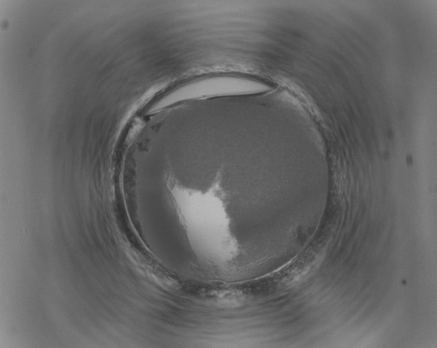 X0000076380395200610271533