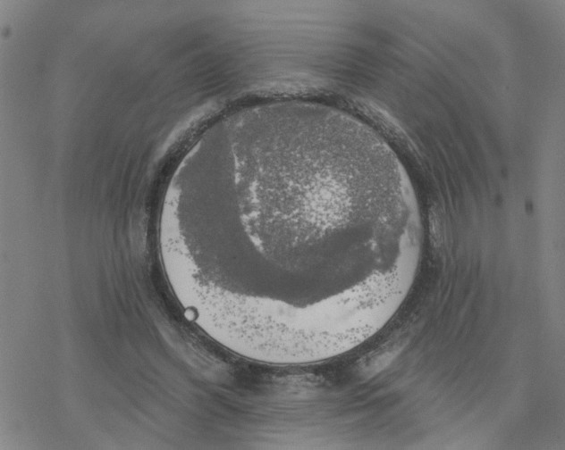 X0000076380396200610271533