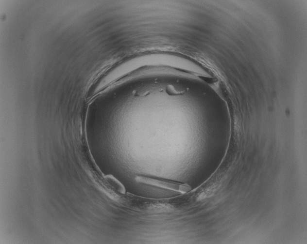 X0000076380397200610271533