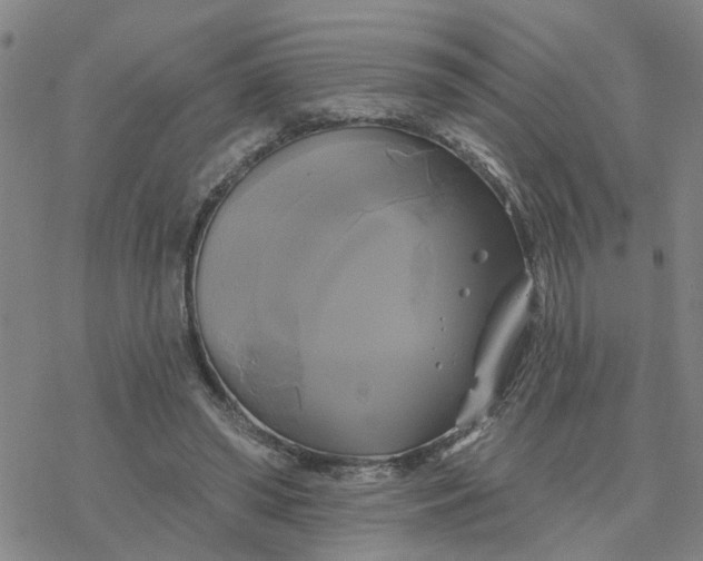 X0000076380398200610271533