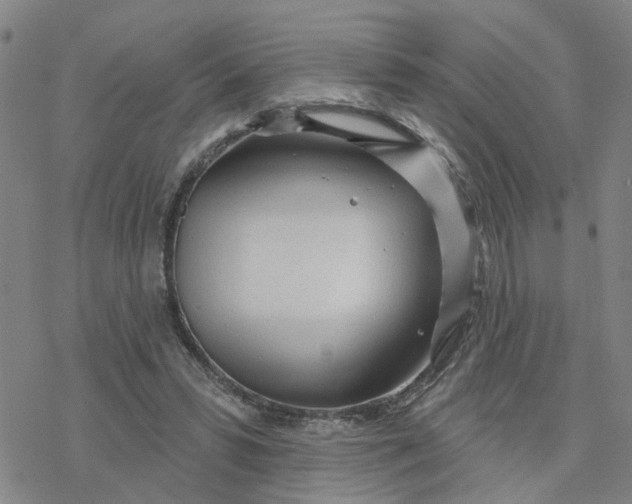 X0000076380399200610271533