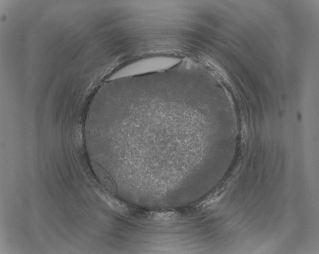 X0000076380401200610271533