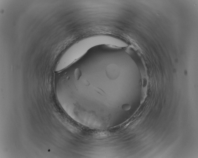 X0000076380402200610271533