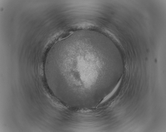 X0000076380403200610271533