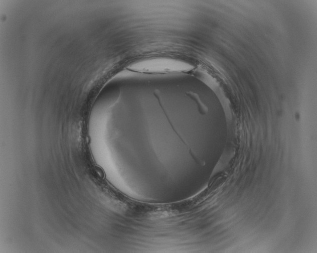 X0000076380404200610271533