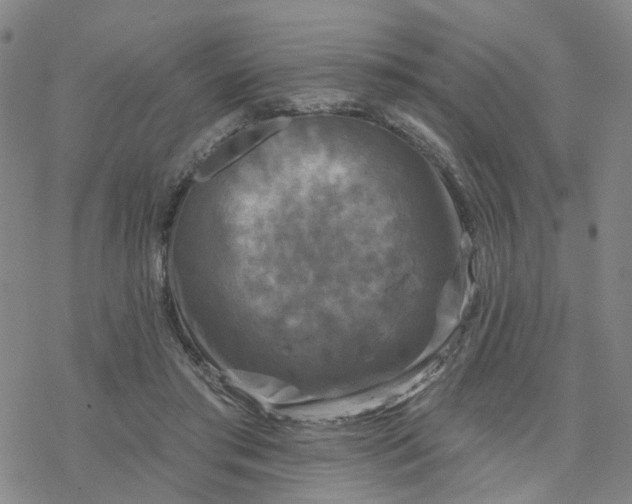 X0000076380405200610271533