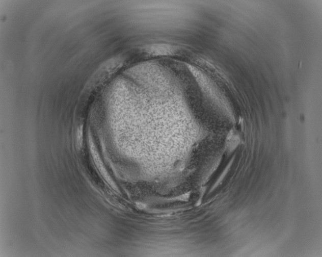 X0000076380406200610271533