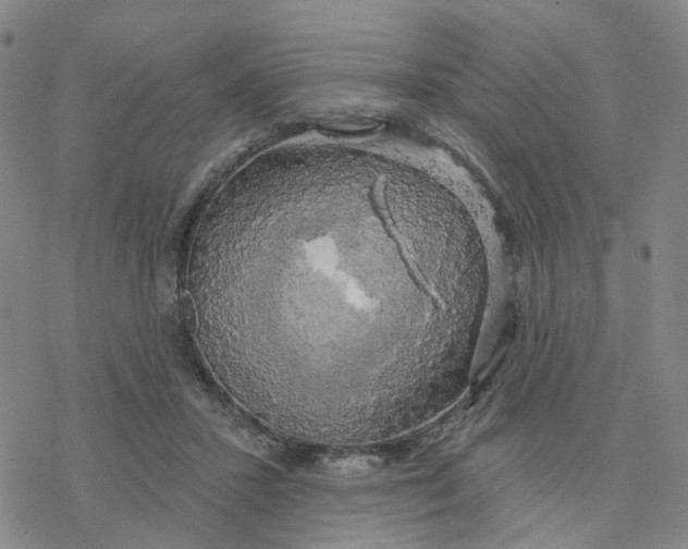 X0000076380407200610271533