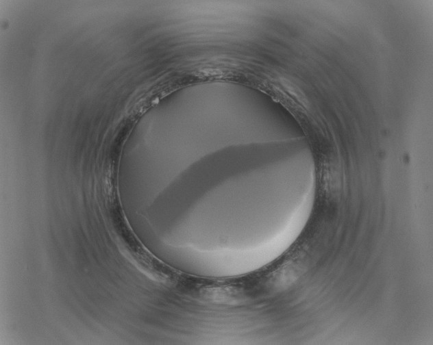 X0000076380408200610271533