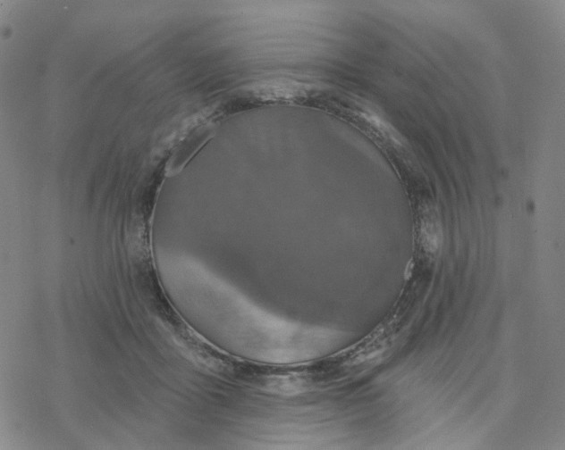 X0000076380411200610271533