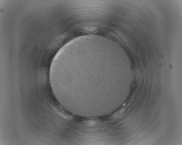 X0000076380412200610271533