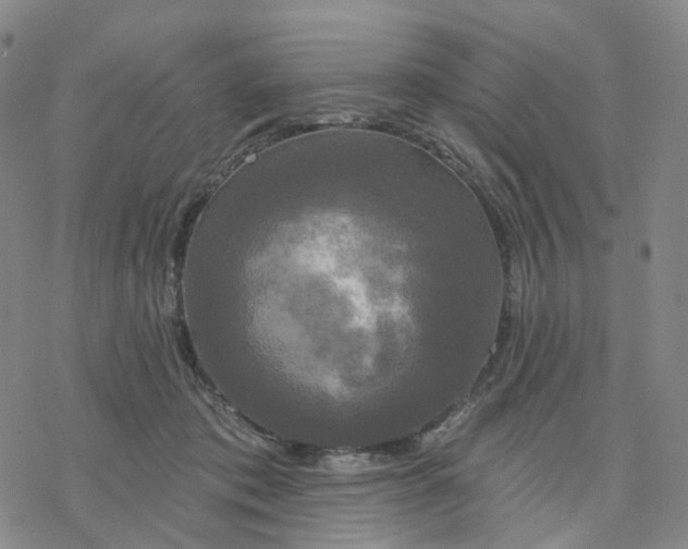 X0000076380413200610271533