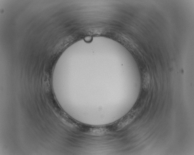 X0000076380414200610271533