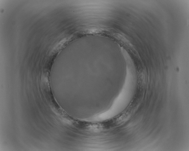 X0000076380415200610271533