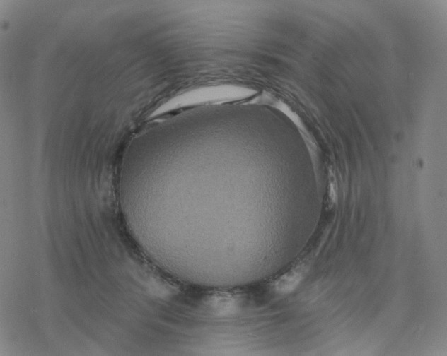 X0000076380416200610271533