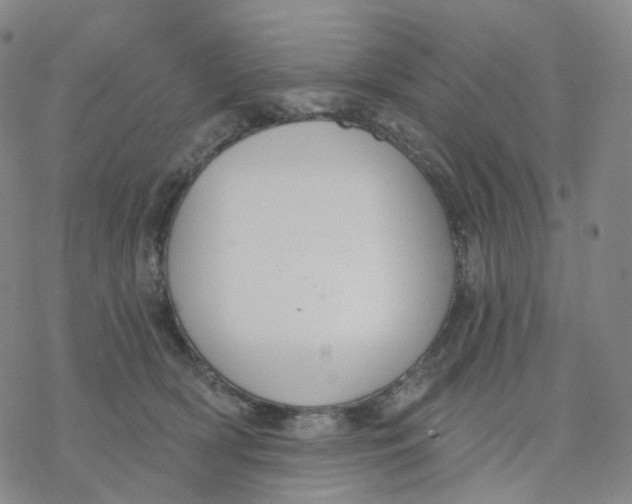 X0000076380418200610271533