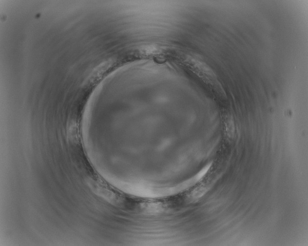 X0000076380419200610271533