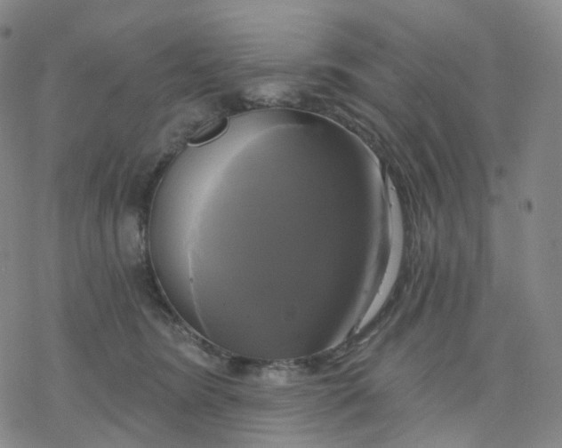 X0000076380420200610271533