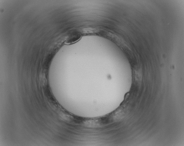 X0000076380422200610271533