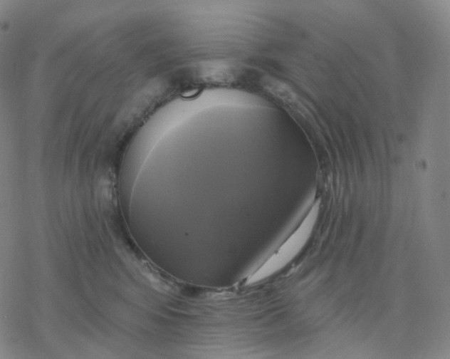 X0000076380424200610271533