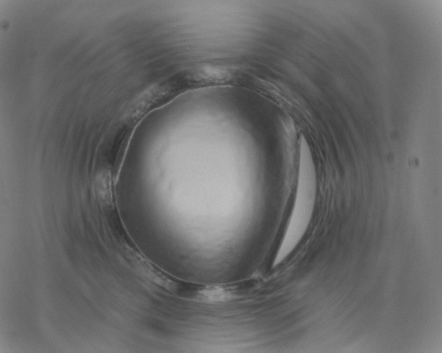 X0000076380425200610271533