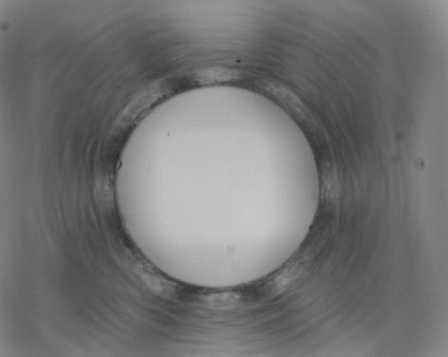 X0000076380426200610271533