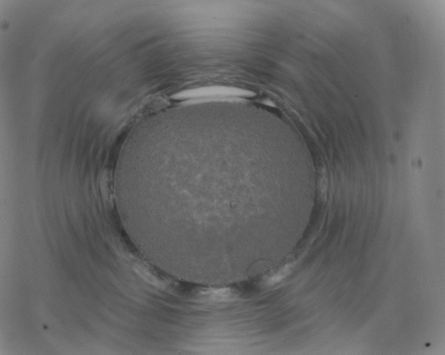 X0000076380428200610271533