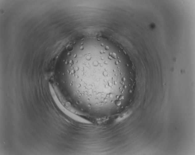 X0000076380432200610271532