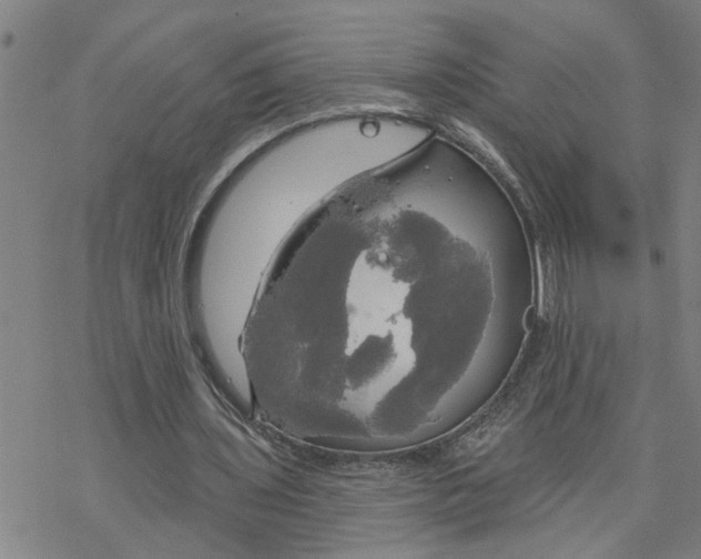 X0000076380435200610271532