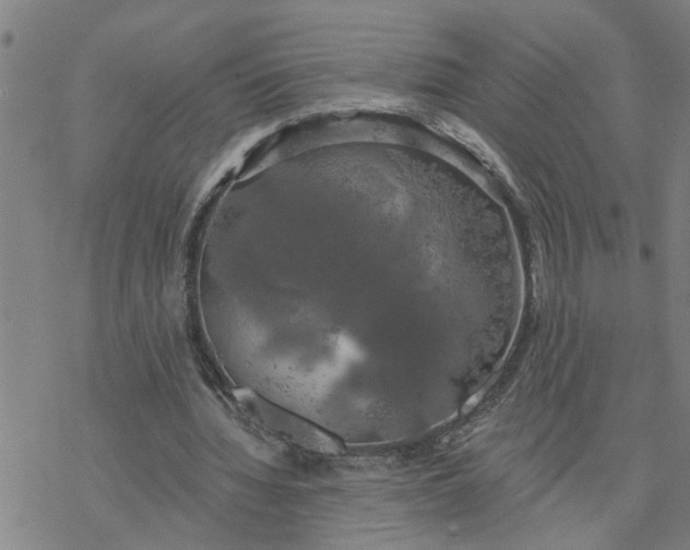 X0000076380436200610271532