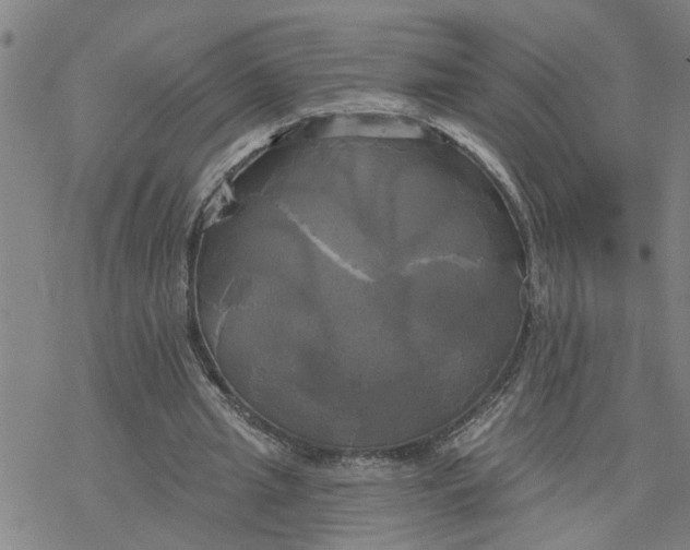 X0000076380437200610271532