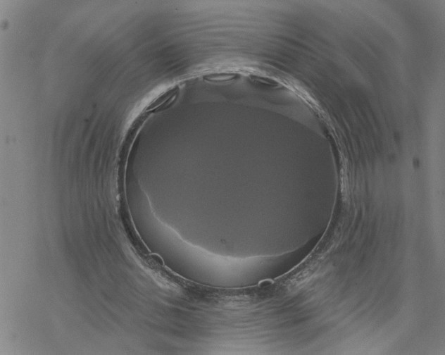 X0000076380438200610271532