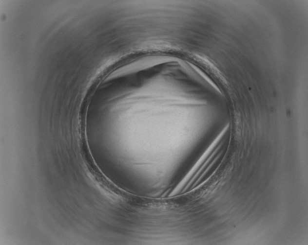 X0000076380439200610271532