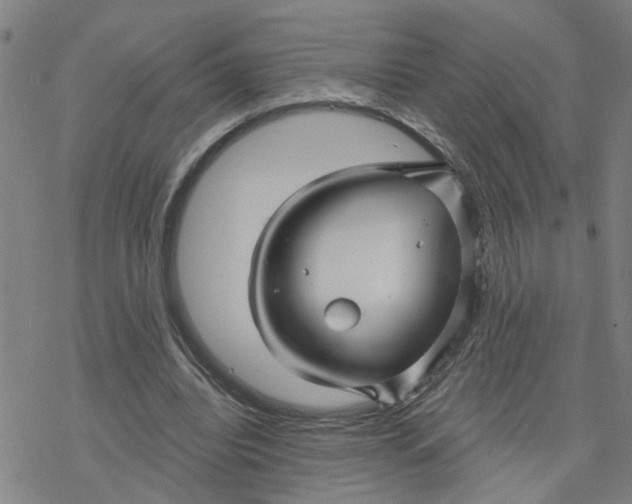 X0000076380440200610271532