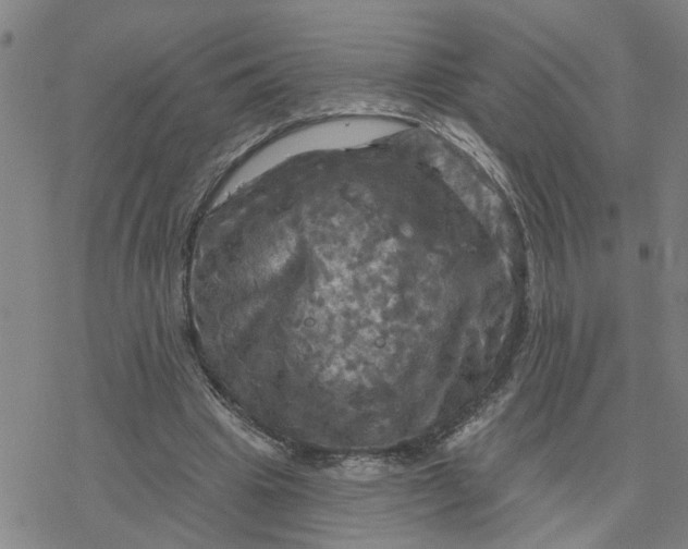 X0000076380441200610271532