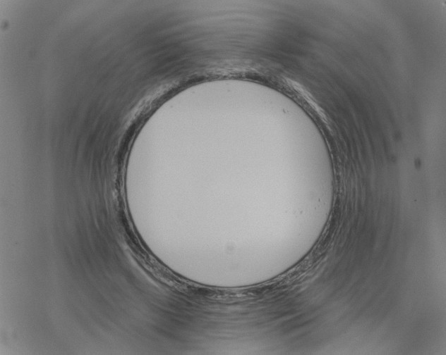 X0000076380443200610271532