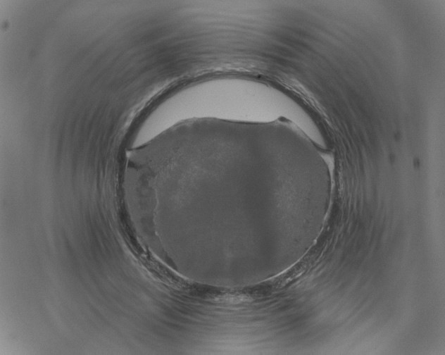 X0000076380444200610271532