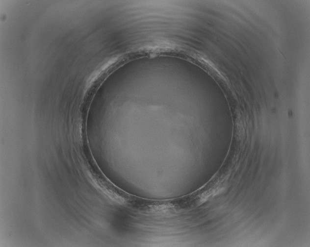 X0000076380446200610271532