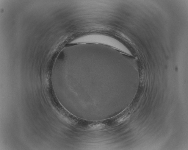 X0000076380452200610271532