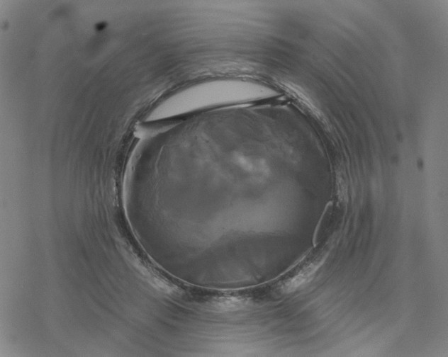 X0000076380453200610271532