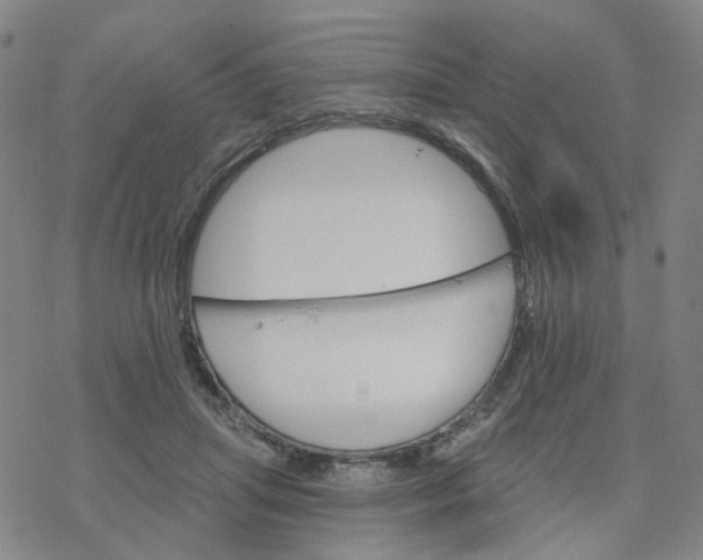 X0000076380455200610271532