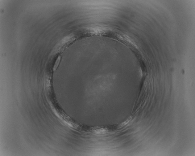 X0000076380456200610271532