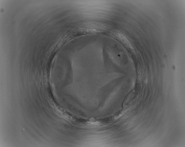 X0000076380457200610271532