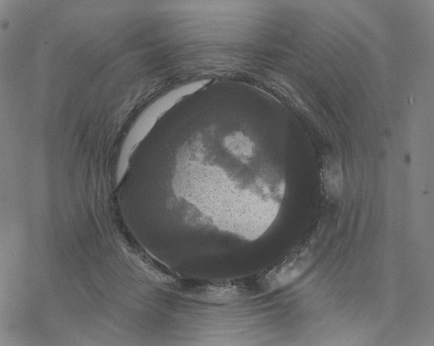 X0000076380458200610271532